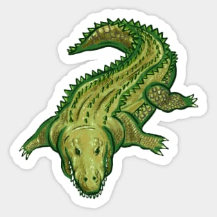 King Croco Sticker